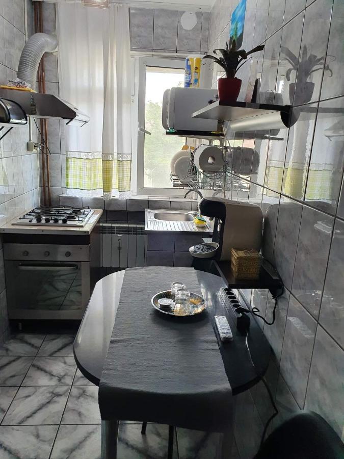 Apartament cu regim hotelier in Dr.Tr. Severin Drobeta Turnu Severin Buitenkant foto